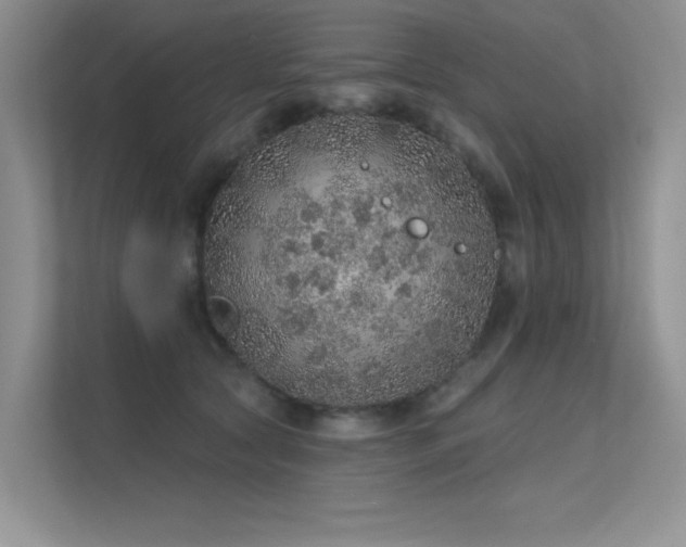 X0000112380561200908131531