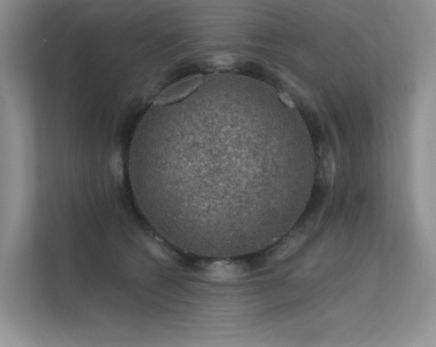 X0000112380562200908131531