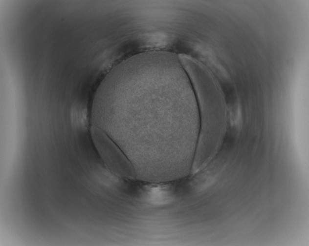 X0000112380564200908131531