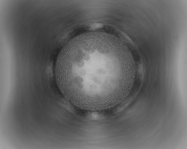 X0000112380565200908131531