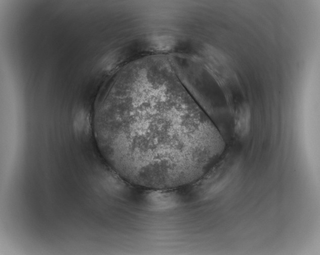 X0000112380568200908131531