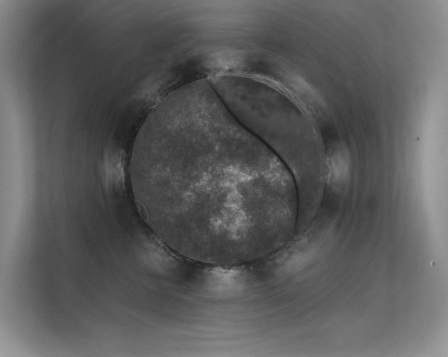 X0000112380570200908131531