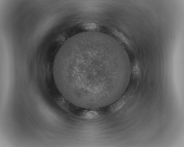 X0000112380572200908131531