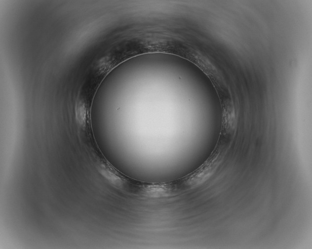 X0000112380574200908131531