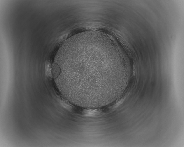 X0000112380575200908131531