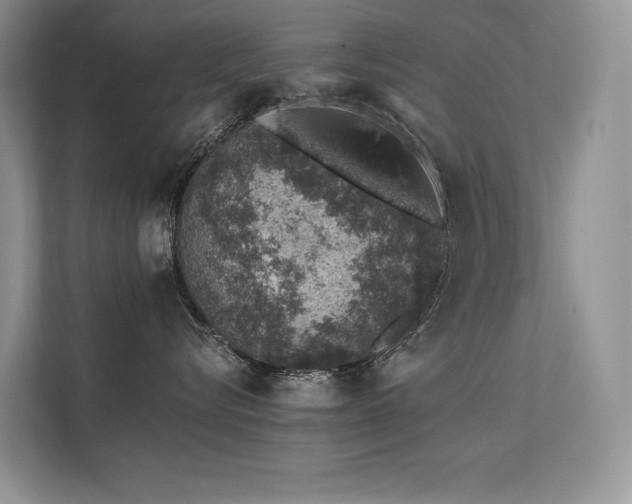 X0000112380576200908131531