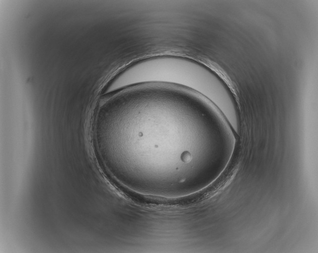 X0000112380577200908131531