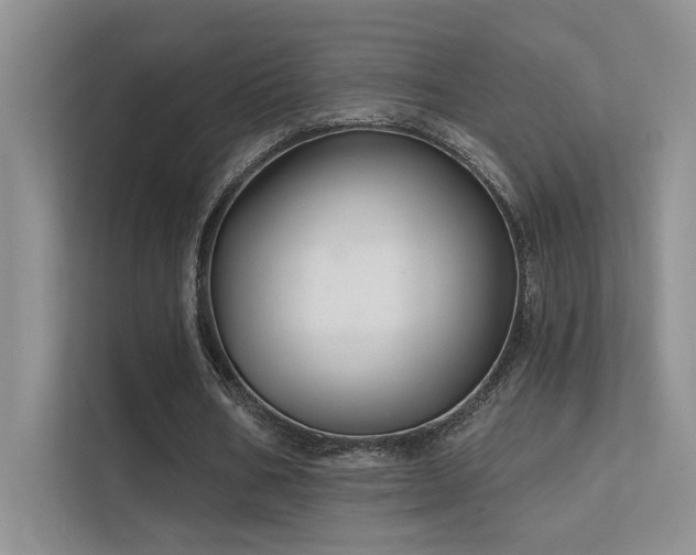 X0000112380578200908131531