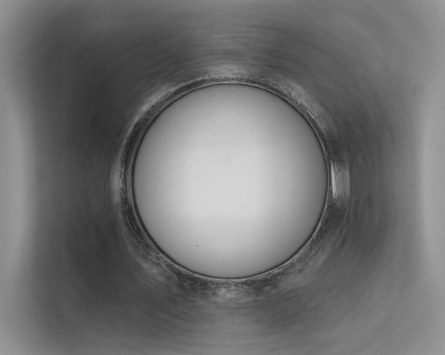 X0000112380579200908131531