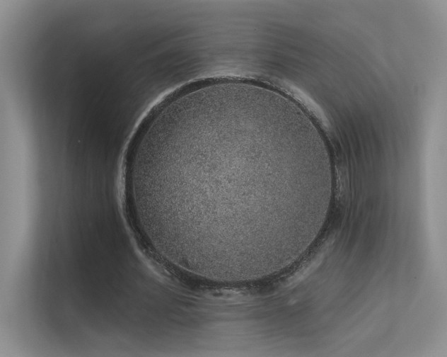 X0000112380580200908131531