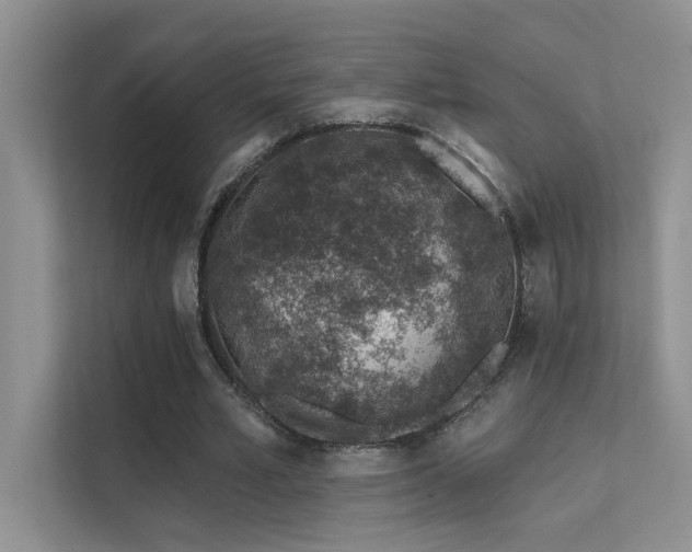 X0000112380581200908131531