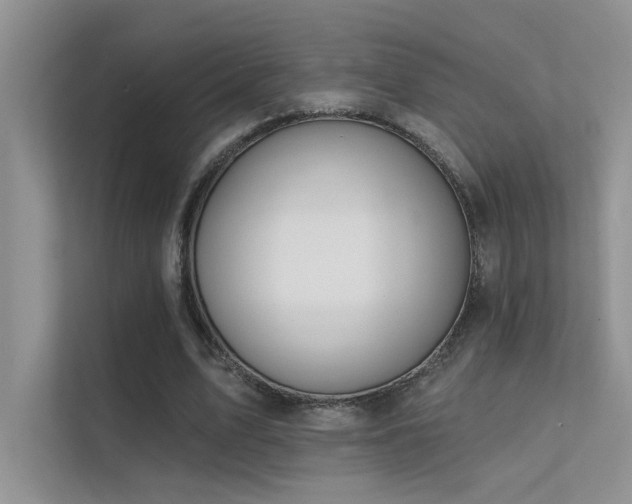 X0000112380583200908131531