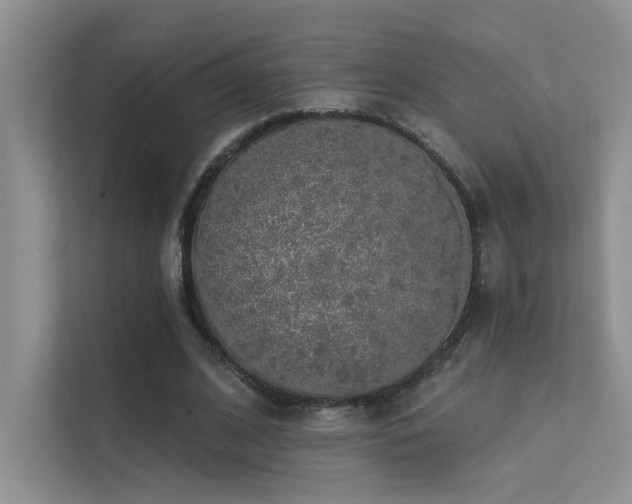 X0000112380584200908131531