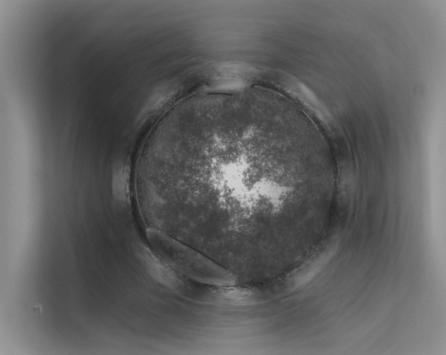 X0000112380585200908131531