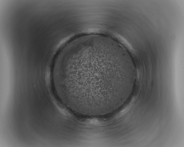 X0000112380588200908131530