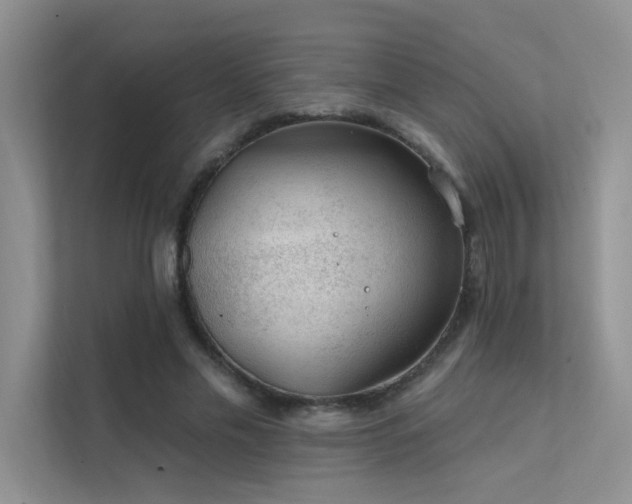 X0000112380589200908131530