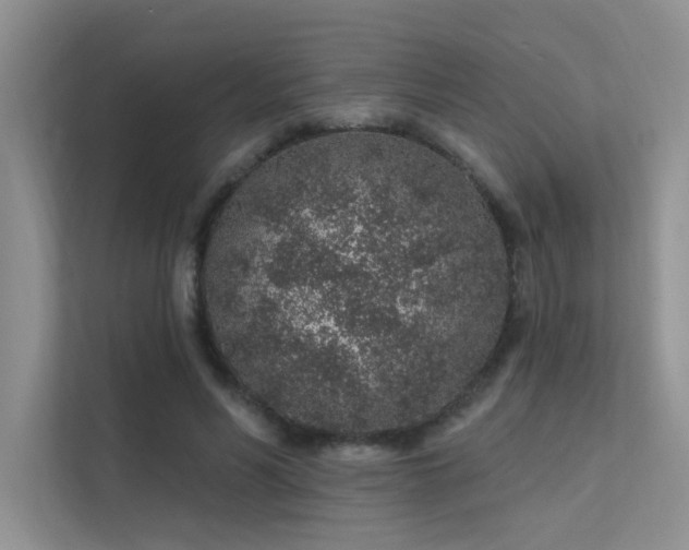 X0000112380590200908131530