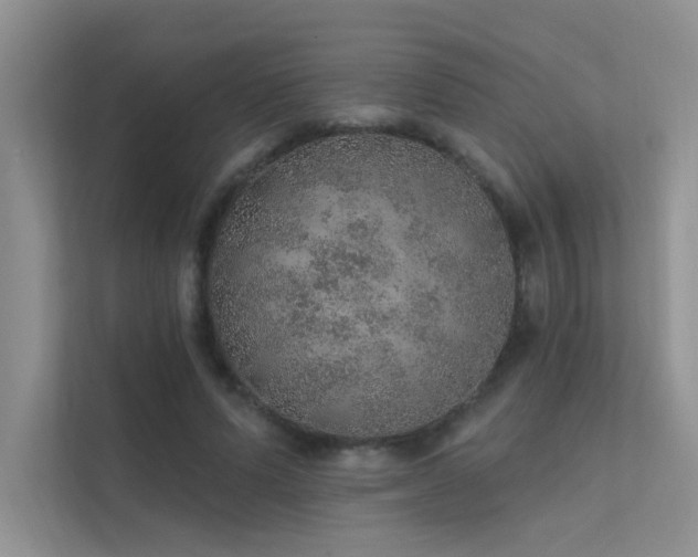 X0000112380591200908131530