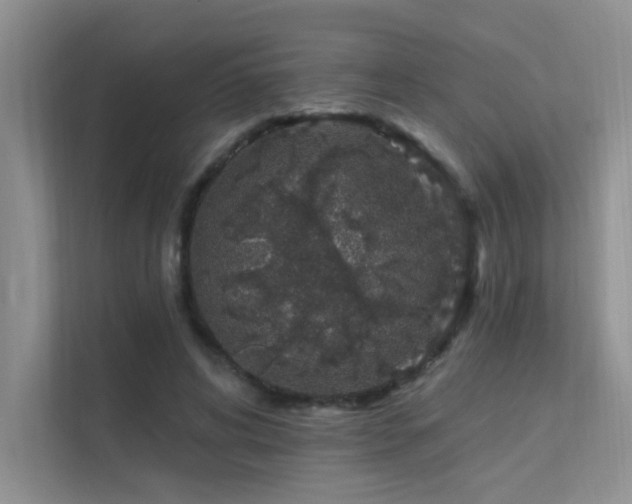 X0000112380592200908131530