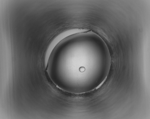 X0000112380593200908131530