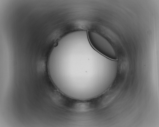 X0000112380595200908131530