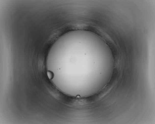 X0000112380599200908131530