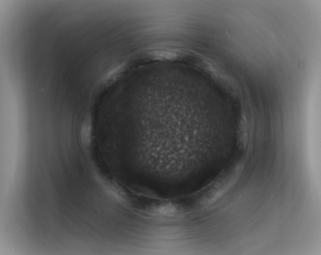 X0000112380600200908131530