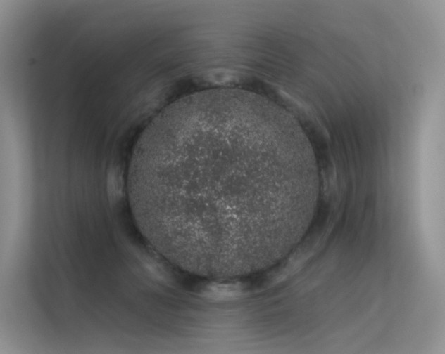 X0000112380606200908131530