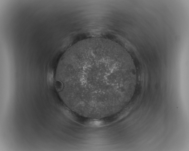 X0000112380610200908131530