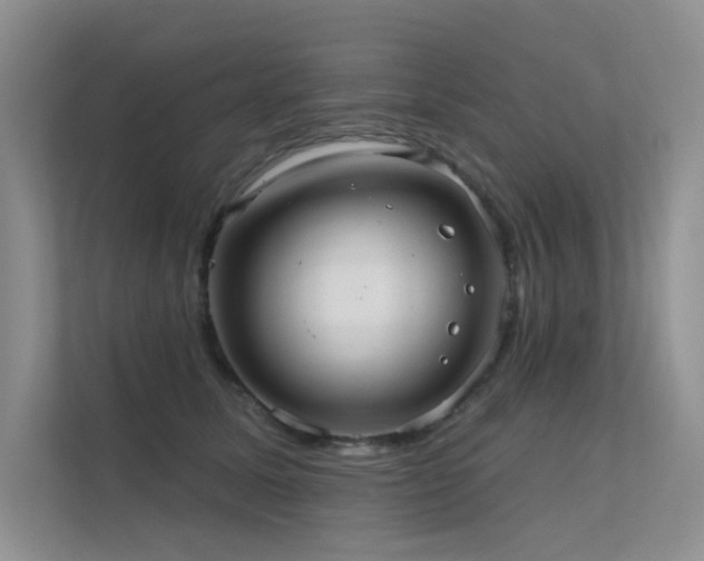 X0000112380611200908131530