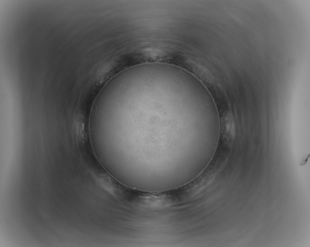 X0000112380615200908131530