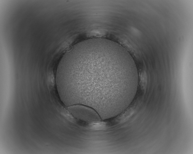 X0000112380617200908131530