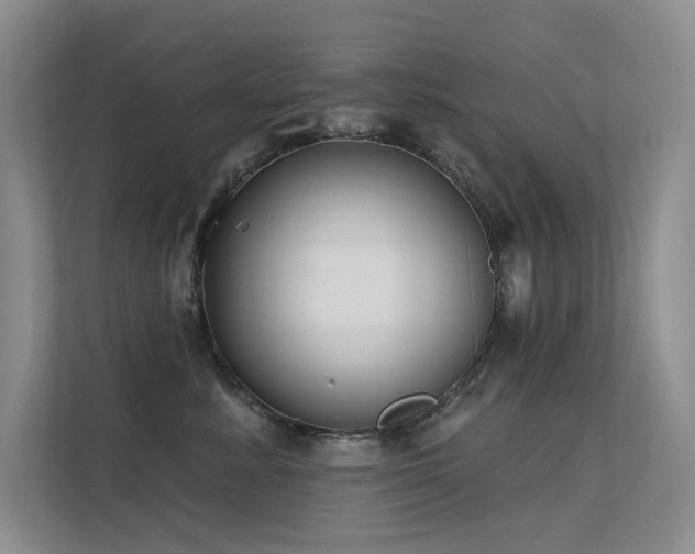 X0000112380619200908131530