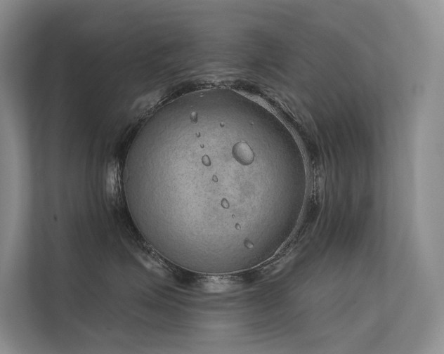 X0000112380623200908131530