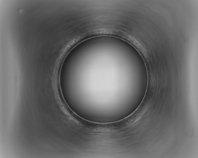 X0000112380625200908131529