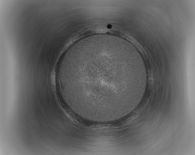 X0000112380626200908131529