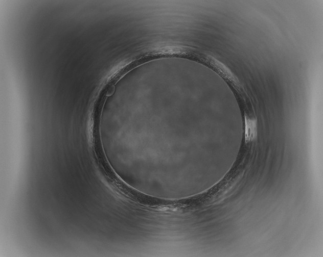 X0000112380627200908131529