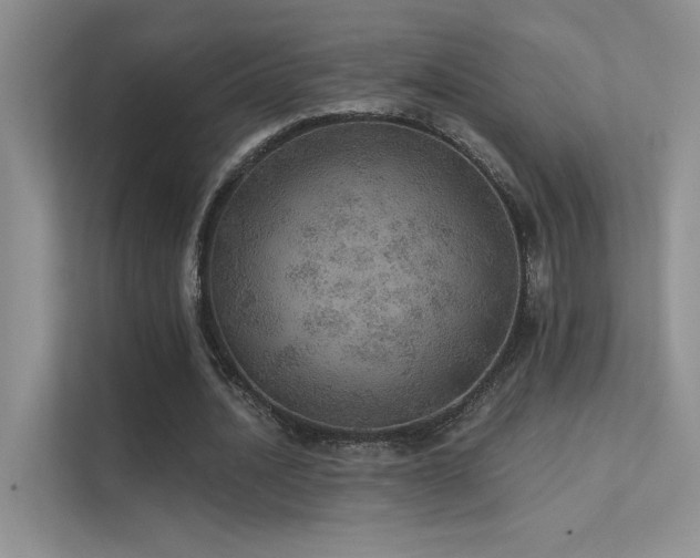 X0000112380628200908131529