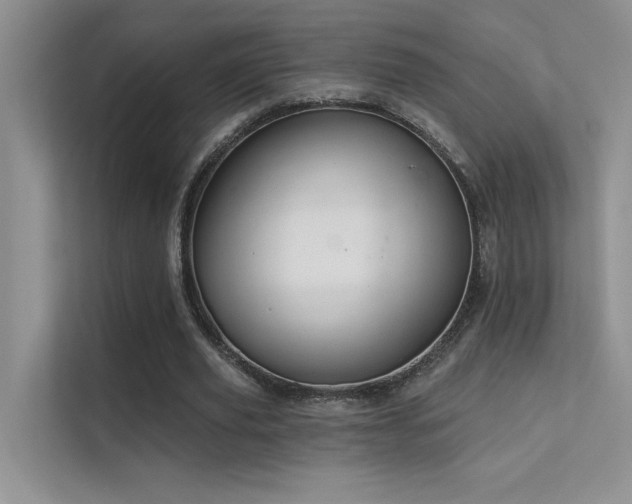 X0000112380629200908131529