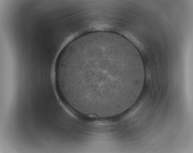 X0000112380630200908131529