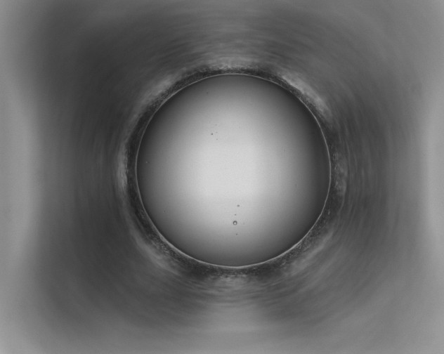 X0000112380631200908131529