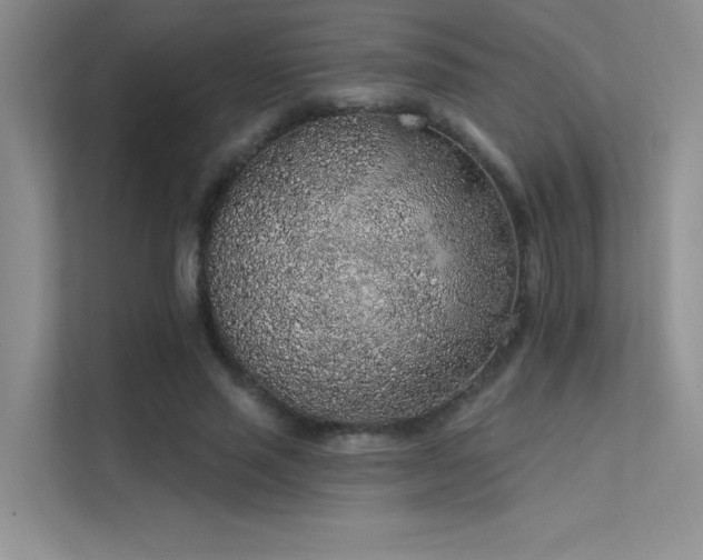 X0000112380637200908131530