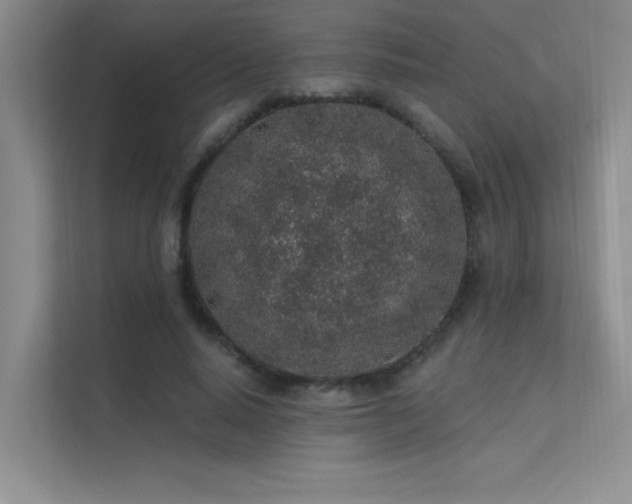 X0000112380640200908131530