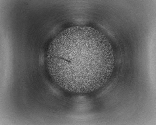 X0000112380647200908131530