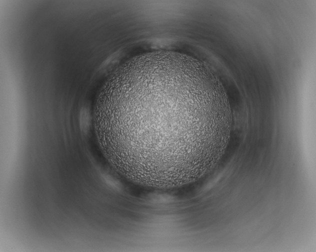 X0000112380648200908131530