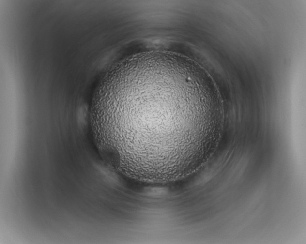 X0000112380649200908131530