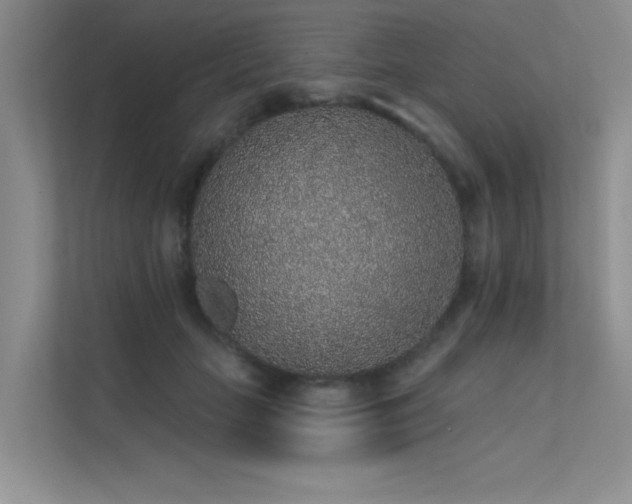 X0000112380653200908131530