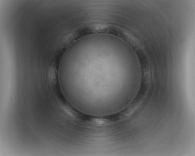 X0000112380654200908131530