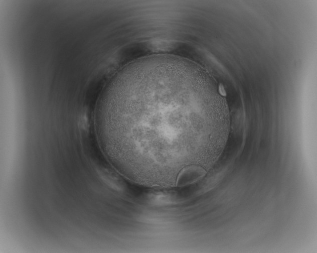 X0000112380655200908131530