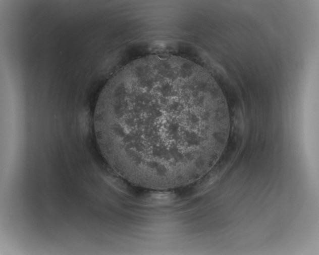 X0000112380659200908131530